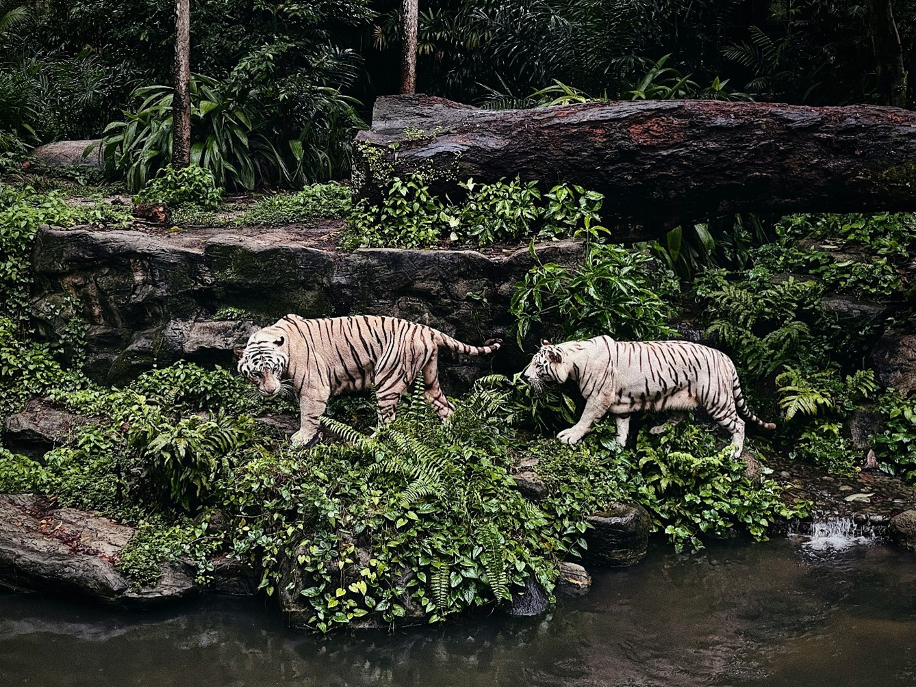 Family Activities Singapore