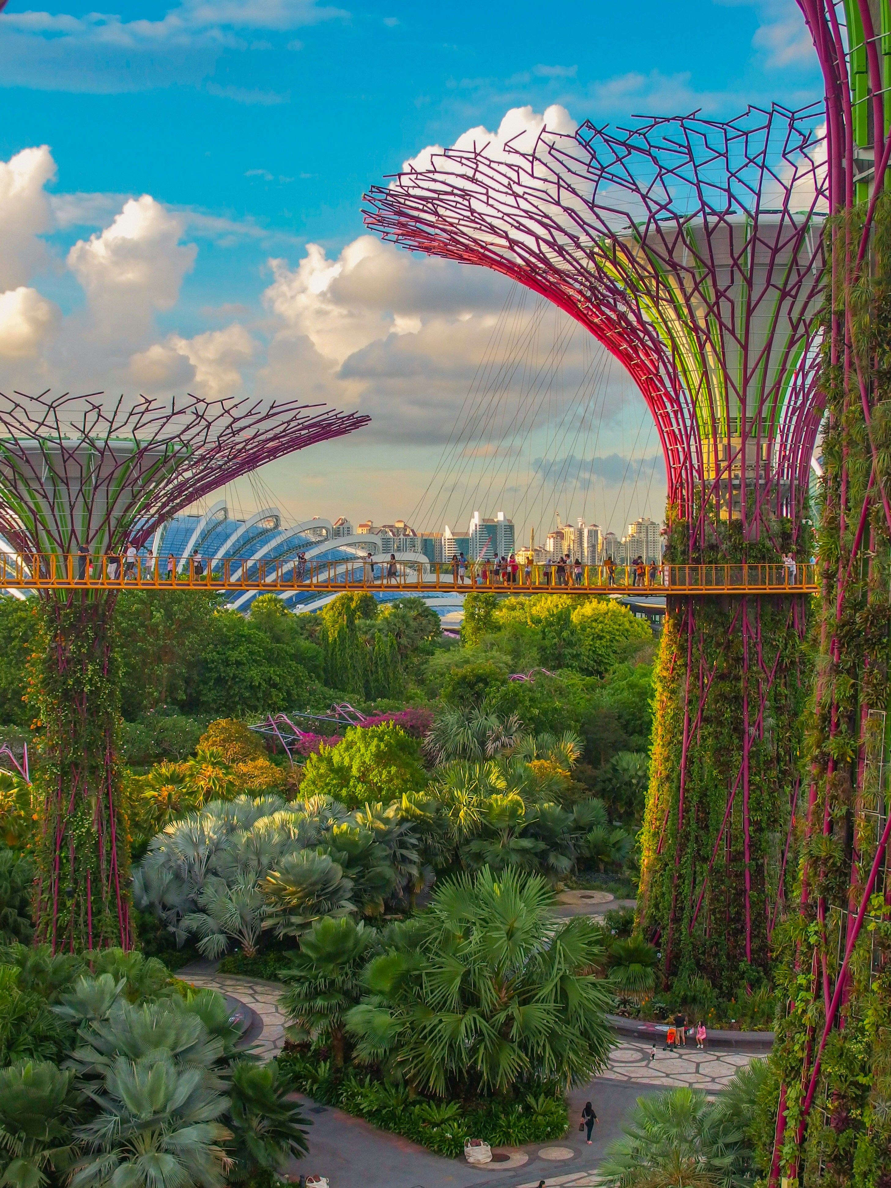 Jurong Bird Park